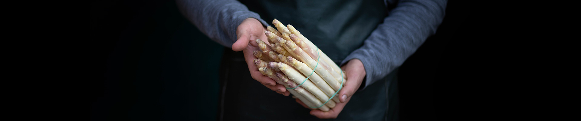 asperge-francois-mathio-blanche