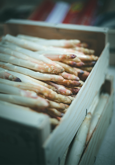 asperge-sable-landes-blanche