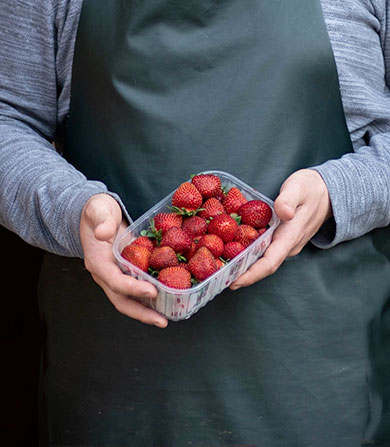 fraise-menu