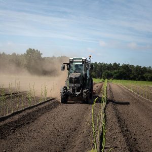 tracteur-mathio