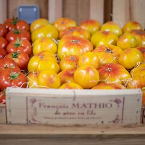 magasin-tomate-03