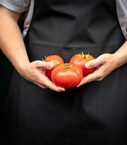 tomates-mathio-landes