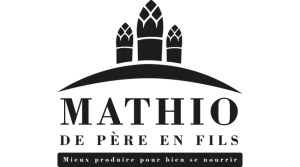 logo mathio