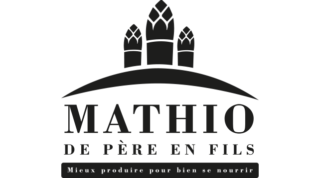 logo mathio